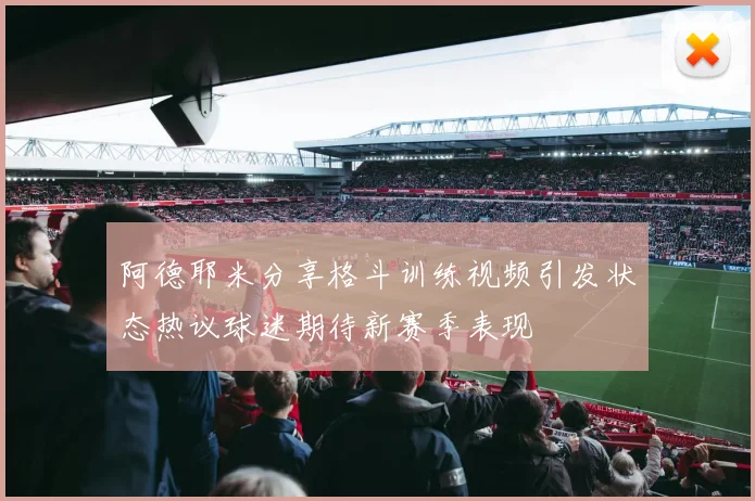 阿德耶米分享格斗训练视频引发状态热议球迷期待新赛季表现